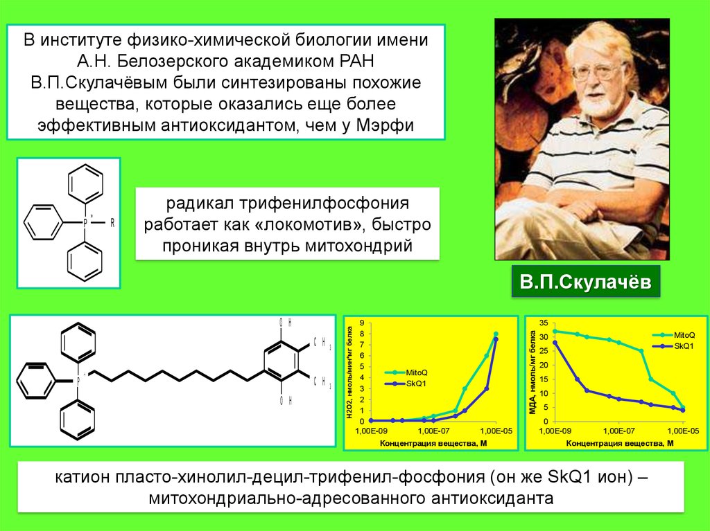 Проект ионы скулачева