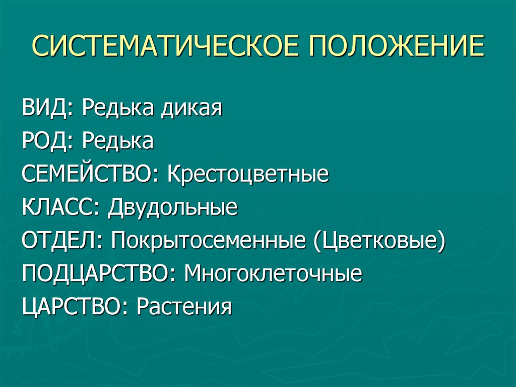 Класс вид род семейство. Редька царство отдел класс семейство род вид. Царство редьки дикой. Систематическая характеристика редька Дикая. Редька Дикая царство отдел.