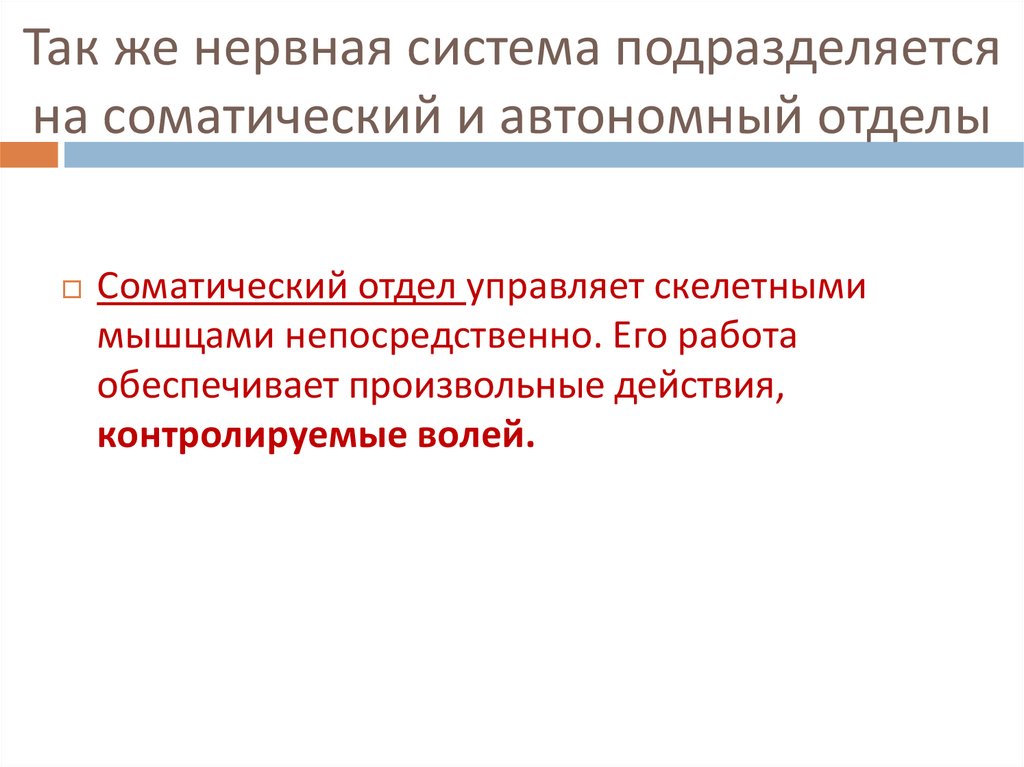 Так же нервная система подразделяется на соматический и автономный отделы