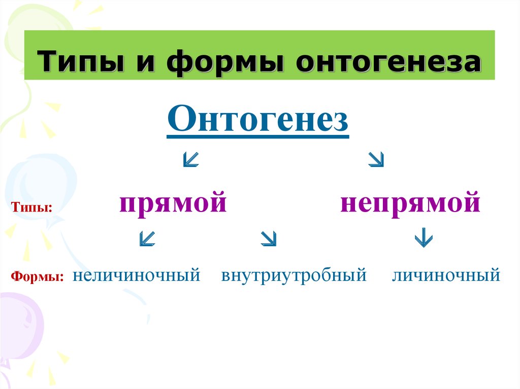 3 этапа онтогенеза
