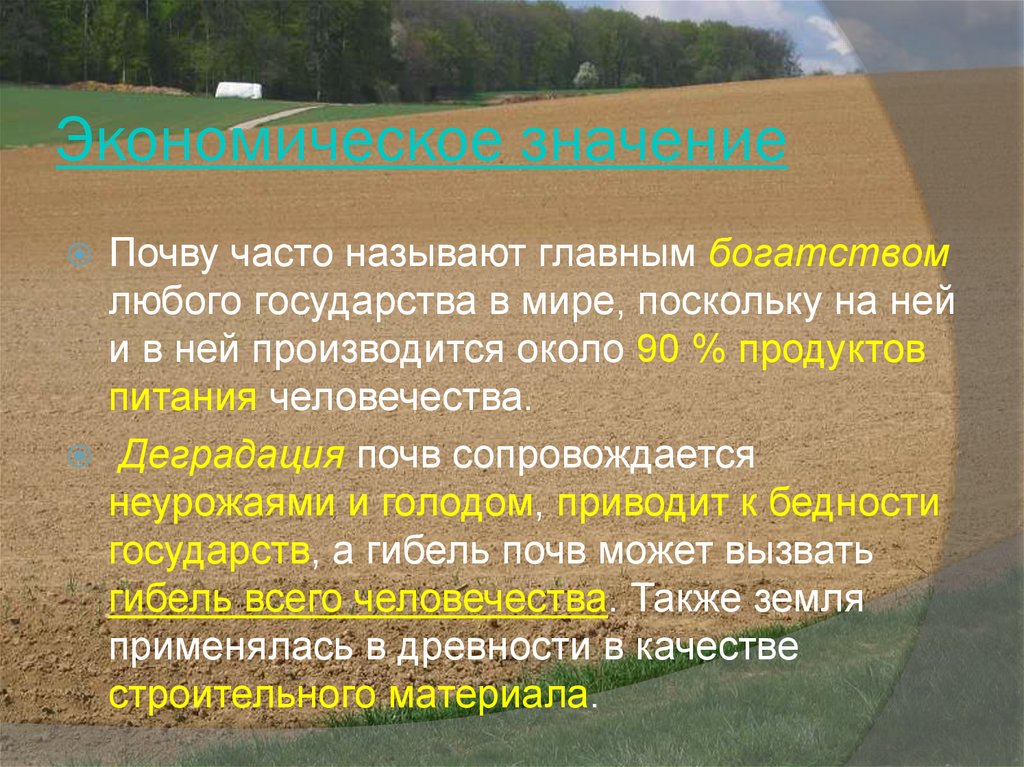 Хозяйственное значение почв. Дегумификация почв. Морфология почв.