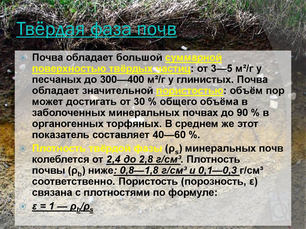 Почва обладает. Твердая часть почвы. Твердая фаза почвы. Три фазы почвы. Физическая фаза почв.