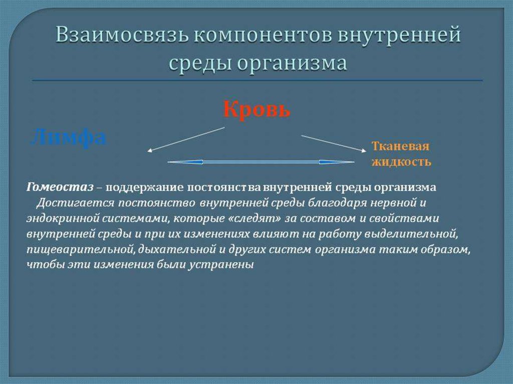 Относительное постоянство внутренней среды организма