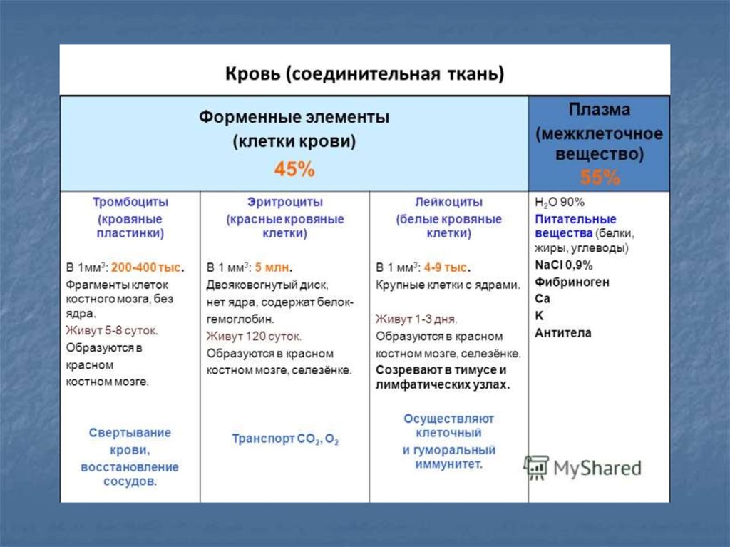 Какие форменные элементы. Форменные элементы крови образуются в. Количество элементов крови. Плазма и форменные элементы крови. Кровь форменные элементы и плазма таблица.