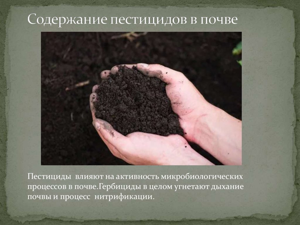 Методы использования почвы. Содержание пестицидов в почве. Воздействие на почву. Влияние пестицидов на почву. Содержание почвы.