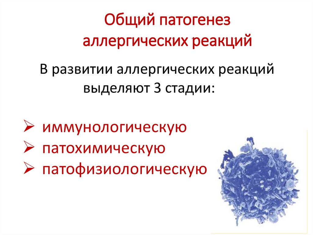 Патогенез аллергических реакций. Общий механизм развития аллергических реакций. Этиология аллергических реакций. Общий патогенез аллергических реакций.