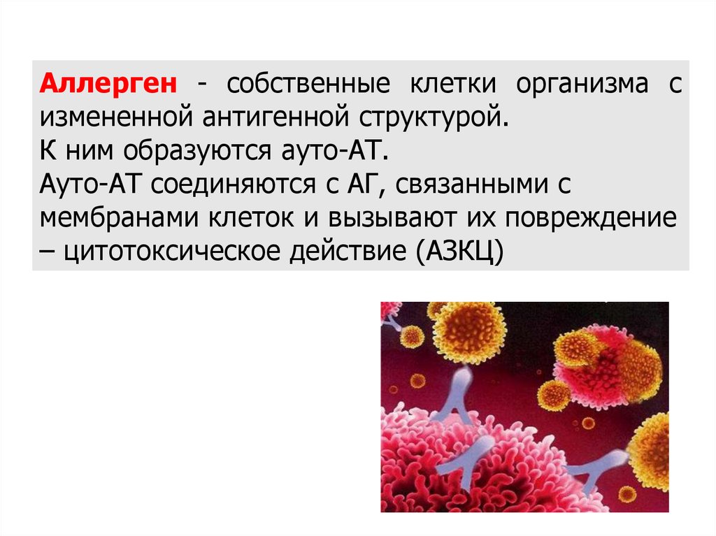 Эпидермальные аллергены. Аллерген. Аллергены образующиеся в самом организме. Аллергия на собственные клетки организма. Аллергены собственного организма - это.