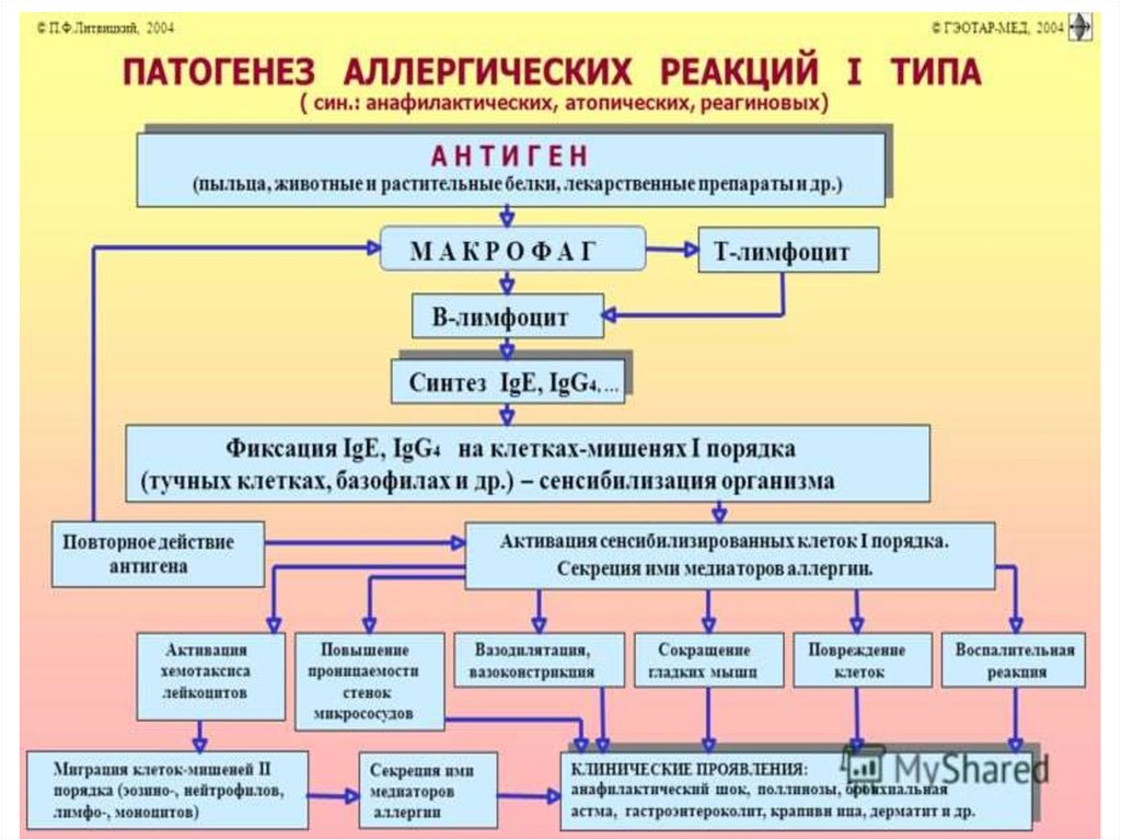 Схема лечения поллиноза