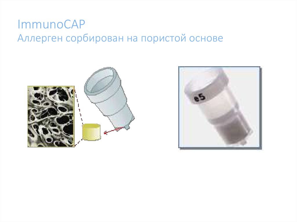 Immunocap. Тест-система иммунокап. Технология IMMUNOCAP. IMMUNOCAP аллергены. Иммунокап принцип метода.