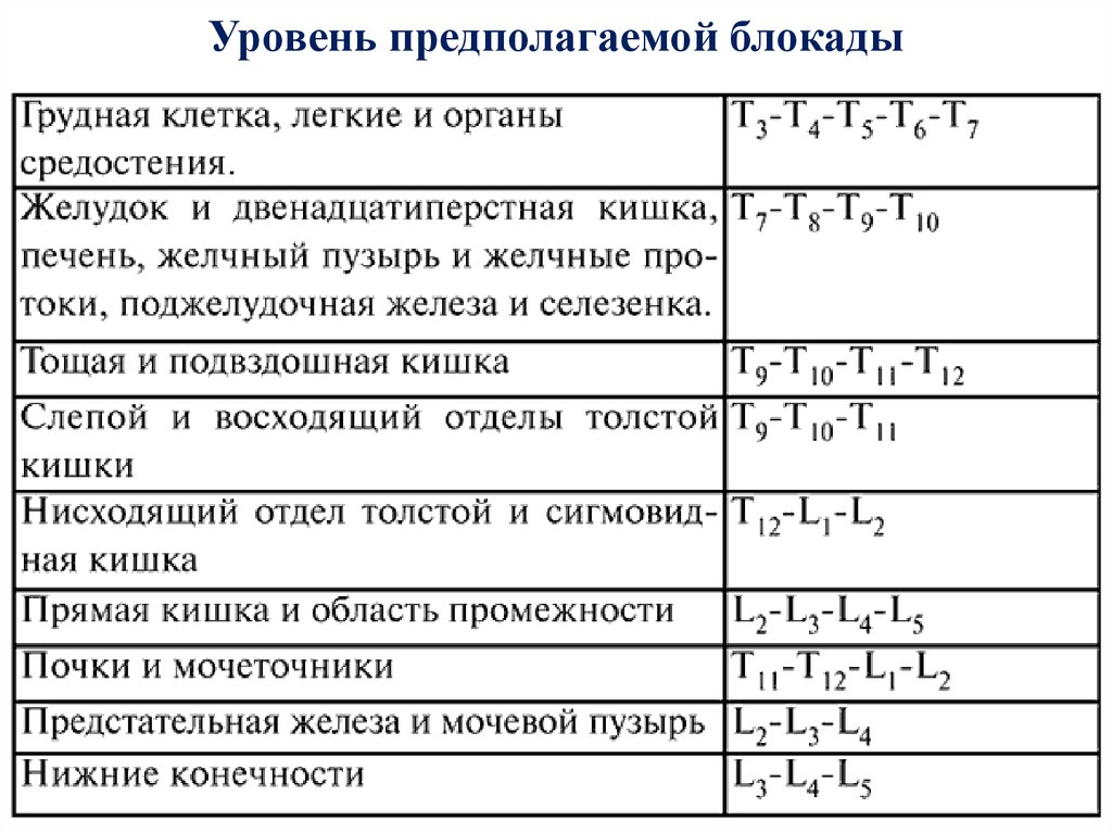 Уровни эпидуральной анестезии. Уровни эпидуральной анестезии схема. Уровни пункции при эпидуральной анестезии. Эпидуральная анестезия уровень пункции. Эпидуральная анестезия уровни блока.