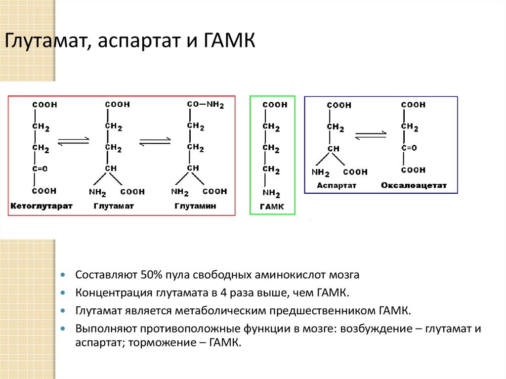 Аминокислоты для мозгов. Глутамат формула химическая. Глутамат натрия е621 формула. Аспартат и глутамат медиатор. Глутамат и аспартат аминокислоты.