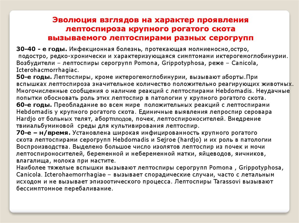 Кем разрабатывается план мероприятий по оздоровлению выявленного очага лептоспироза