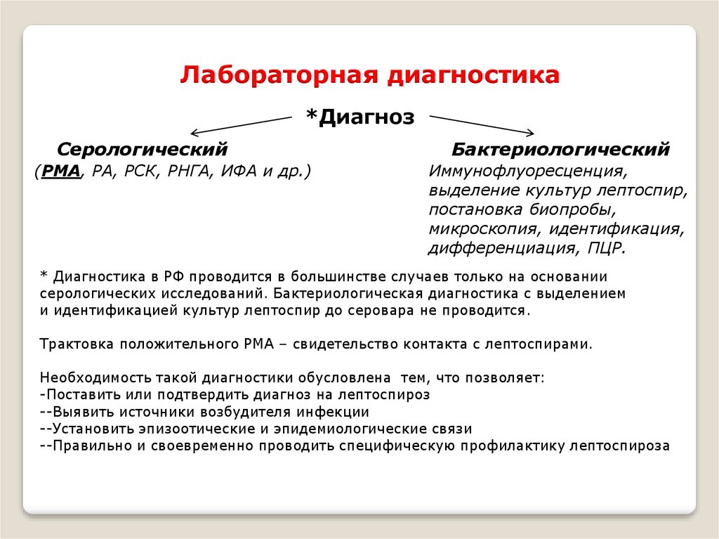 План обследования при лептоспирозе