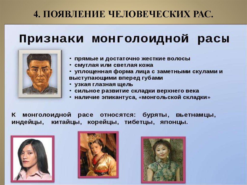 Человеческие расы принадлежат. Характерные черты монголоидной расы. Черты внешности монголоидной расы. Монголоидная раса признаки. Признаки монголоидной расы человека.