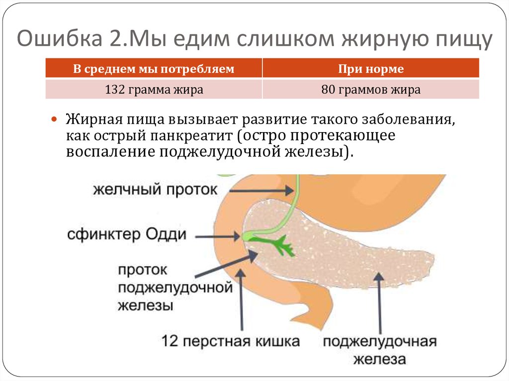 Острый панкреатит у кошек