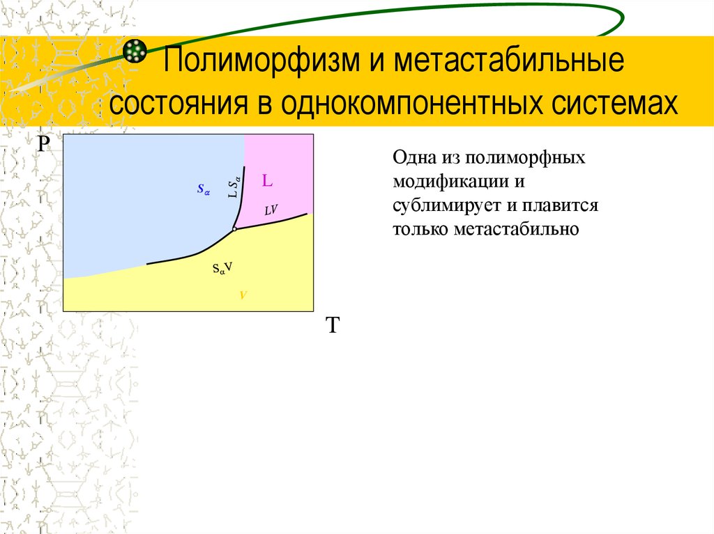 Полиморфизм и метастабильные состояния в однокомпонентных системах