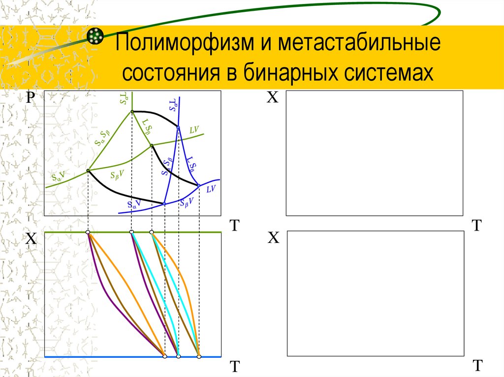 Полиморфизм и метастабильные состояния в бинарных системах
