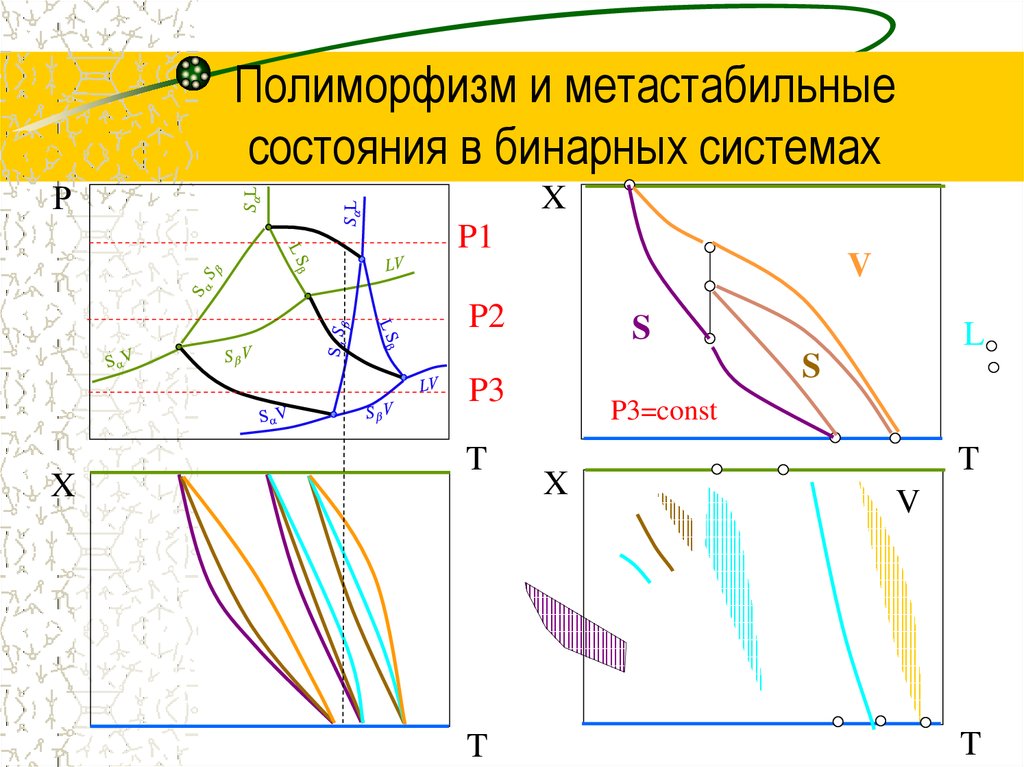 Полиморфизм и метастабильные состояния в бинарных системах