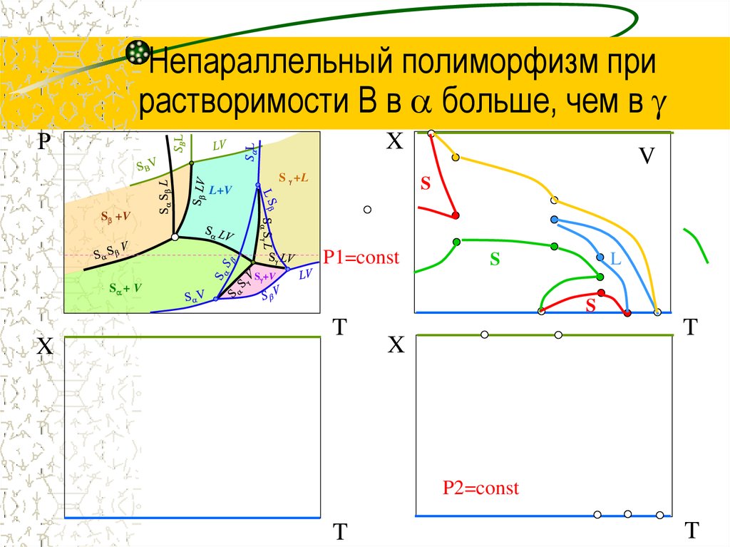 Какое уравнение описывает линии равновесия на диаграммах состояния однокомпонентных систем