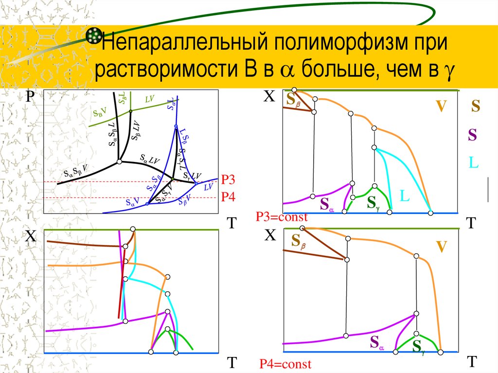 Что такое полиморфизм приведите примеры из реальной жизни