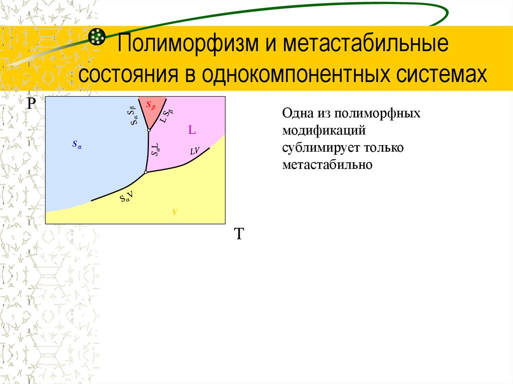 Полиморфизм и метастабильные состояния в однокомпонентных системах