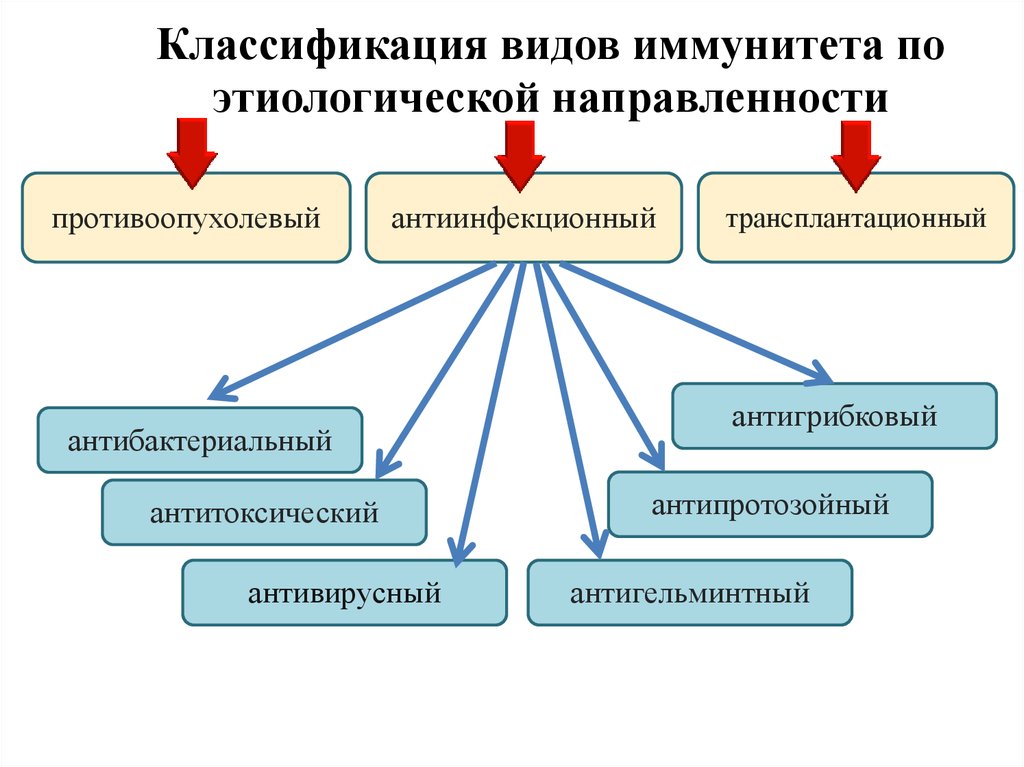 Иммунная классификация