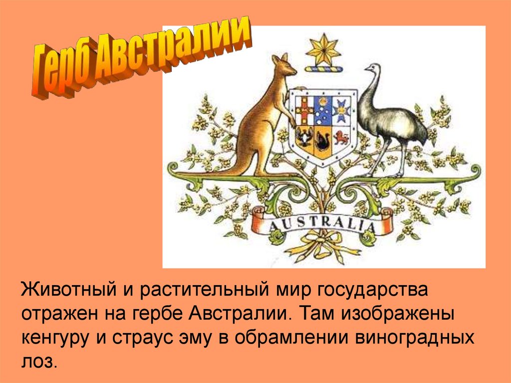 Изображение какого животного можно увидеть на гербе австралии