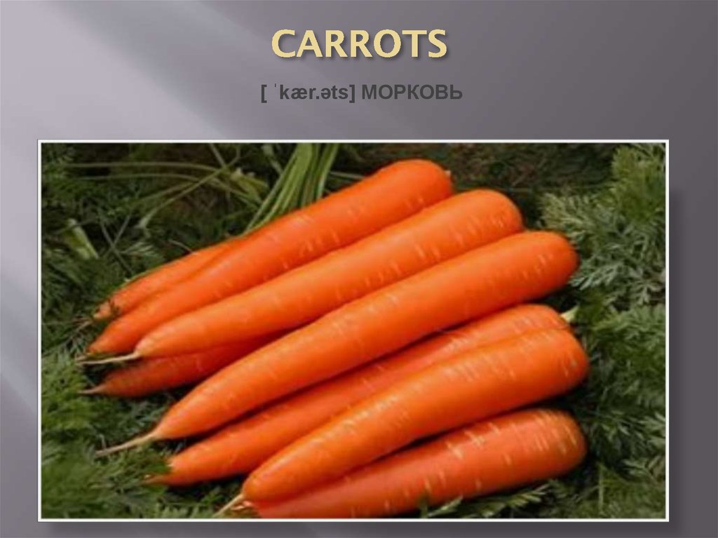 CARROTS