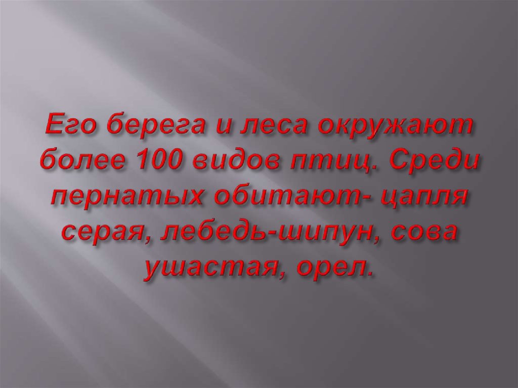 Его берега и леса окружают более 100 видов птиц. Среди пернатых обитают- цапля серая, лебедь-шипун, сова ушастая, орел.