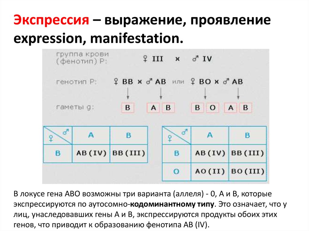 В f1 100 гетерозиготный генотип