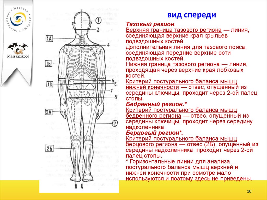 Дополнительная линия. Линия соединяющая передние Верхние ости подвздошных костей. Визуальная диагностика тела. Визуальная диагностика кинезиология. Постуральный анализ.