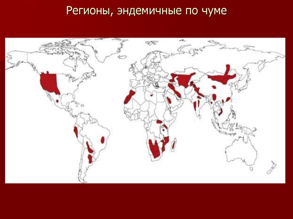 Чума карта. Распространенность чумы. Карта распространения чумы. Природные очаги чумы карта.