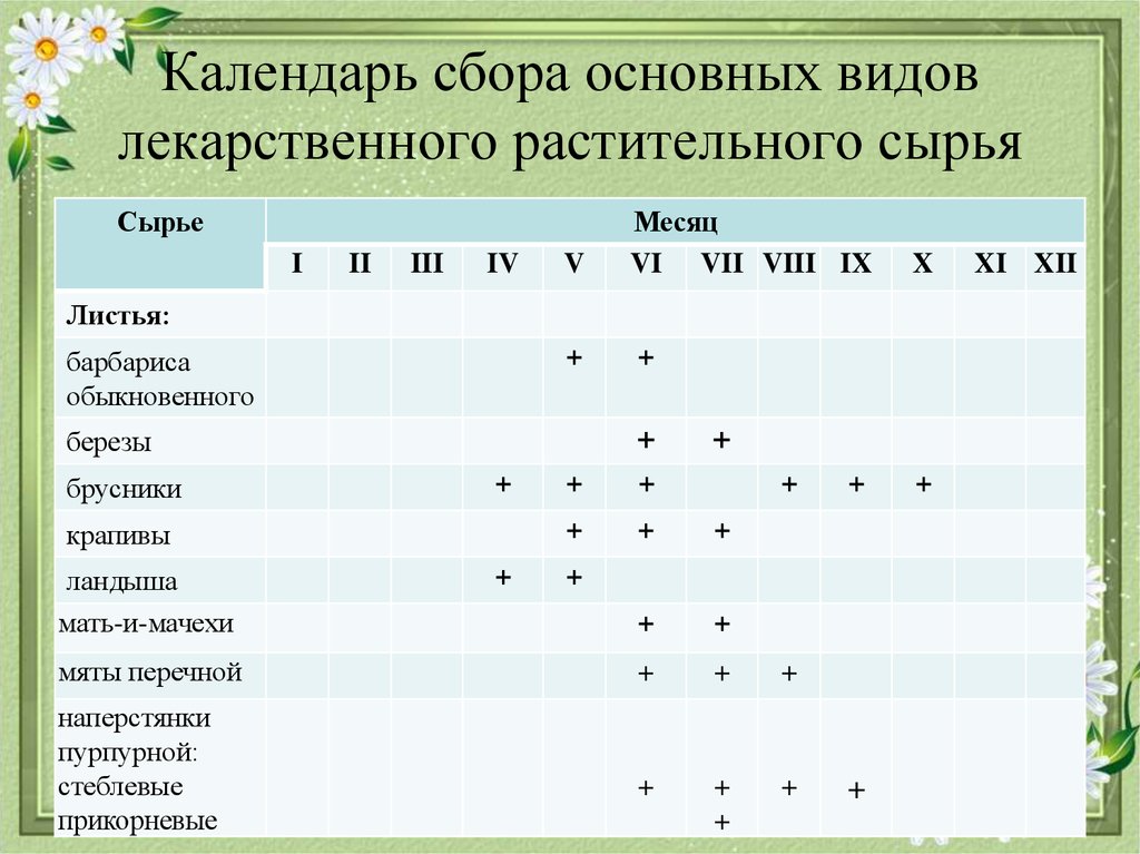 Правила сбора лекарственных растений для детей в картинках