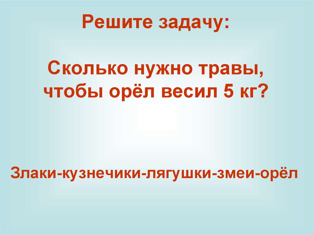 Поток энергии и пищевые цепи презентация