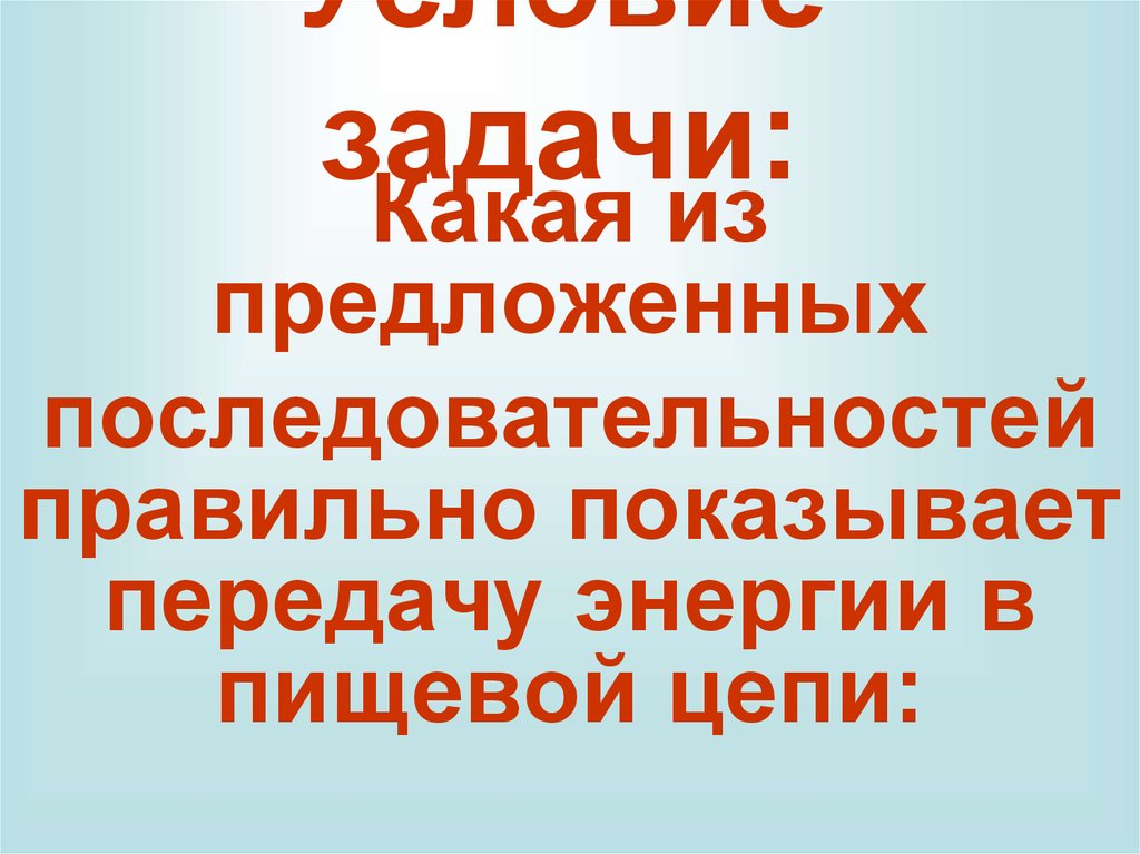 Условие задачи: