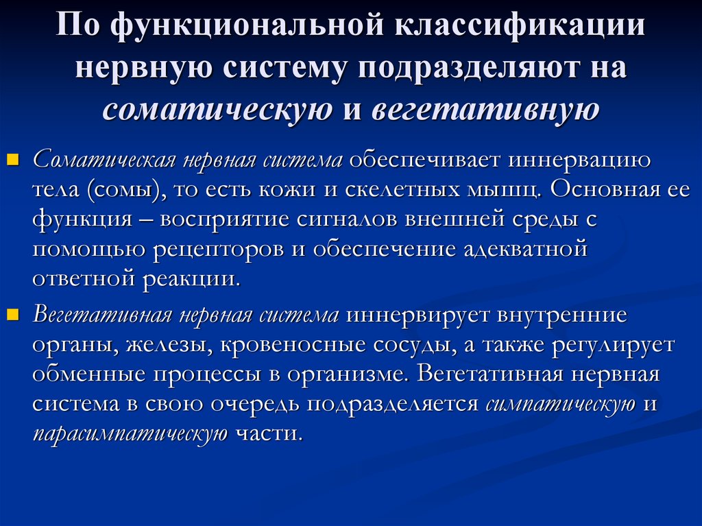 Классификация функциональной диагностики. Нервную систему подразделяют на. Функциональная классификация нерва. Вегетативная нервная система обеспечивает иннервацию. Классификация функциональных систем.