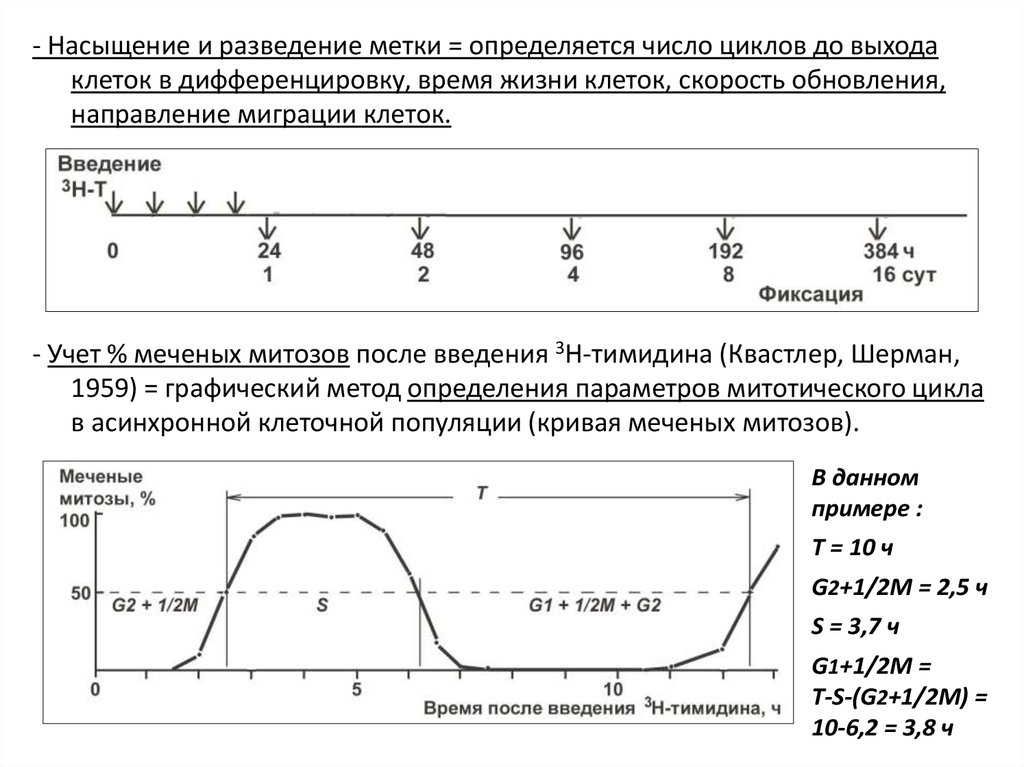 Число циклов. Учет числа циклов. Число циклов график. Количество цикла светодиодных. Количество меченых особей.