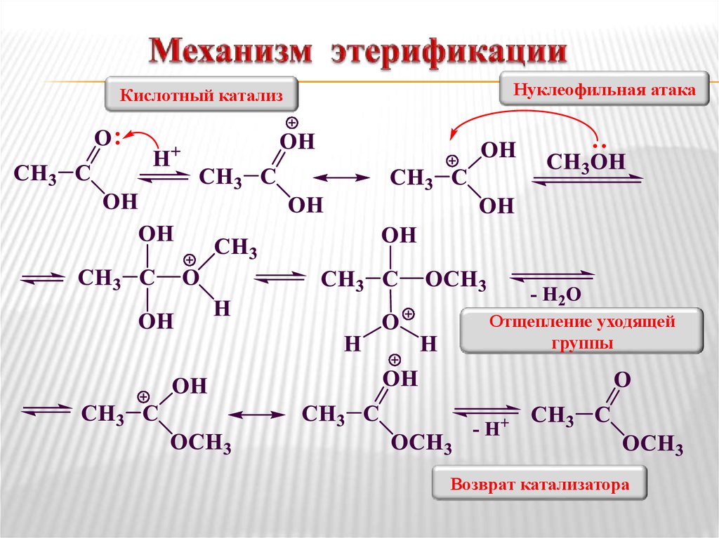 Муравьиная кислота и метанол реакция. Механизм реакции этерификации спиртов. Механизм реакции этерификации карбоновых кислот. Механизм реакции этерификации этанола. Механизм реакции этерификации присоединения.