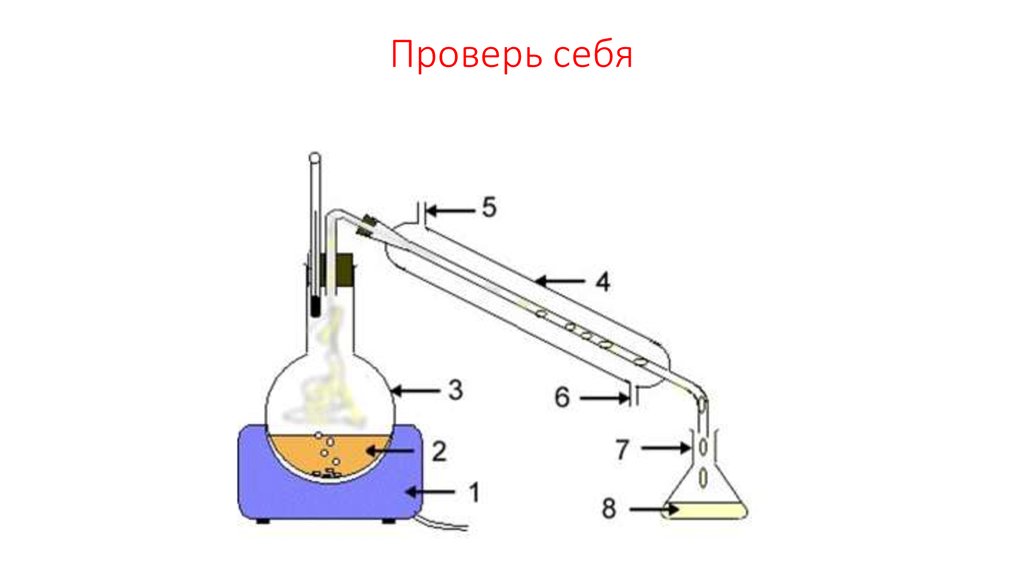Проверь себя