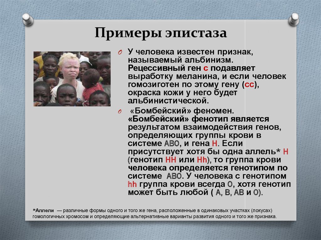 Известный признак. Рецессивный эпистаз примеры. Примеры эпистаза у человека. Эпистаз у человека. Эпистаз в генетике примеры у человека.