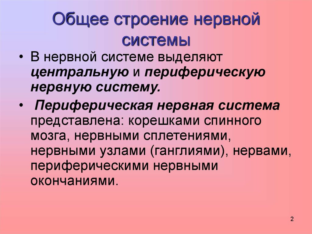 Наличие выделенной системы. Центральные нервы и периферические. Структура нерва. Рецепция в общим анатомия.