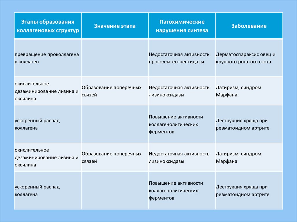 Нарушение синтеза коллагена. Заболевания связанные с нарушением синтеза коллагена. Синтез коллагена нарушен при каком заболевании?. Лизиноксидаза.