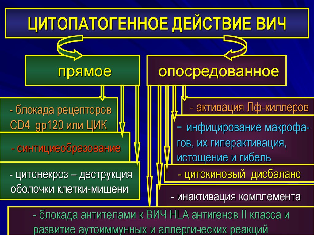 ЦИТОПАТОГЕННОЕ ДЕЙСТВИЕ ВИЧ