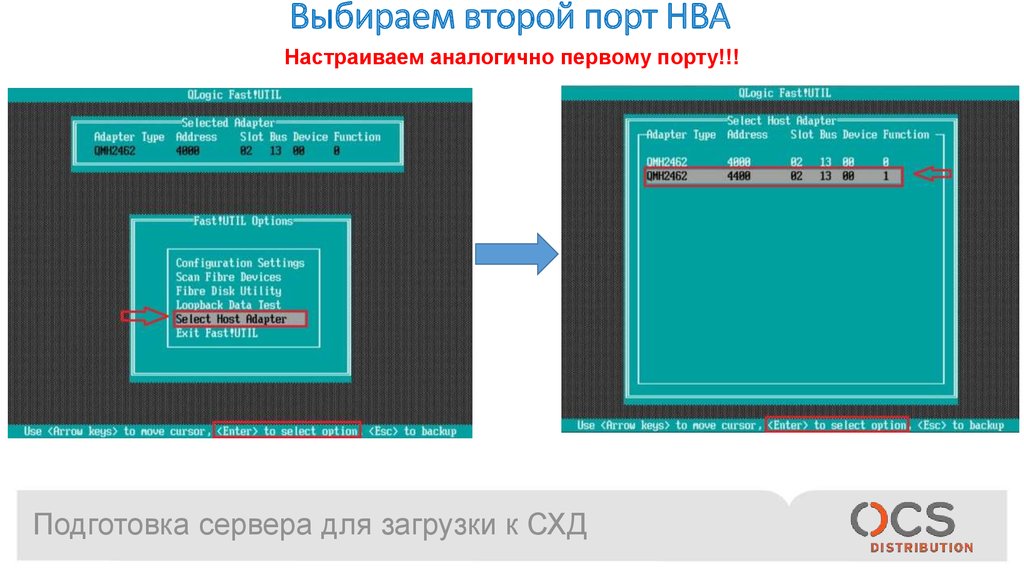 Проверить со. Количество установленных HBA портов. Подготовка серверов. HBA порт на сервере. HBA карты в сервер.