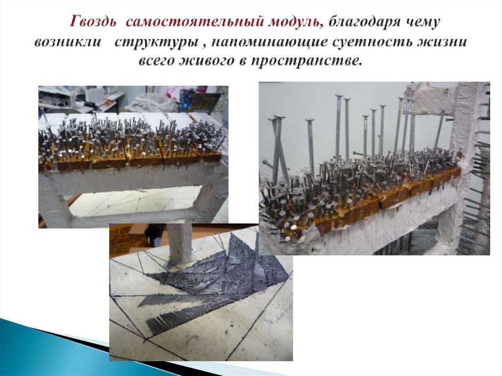 Гвоздь самостоятельный модуль, благодаря чему возникли структуры , напоминающие суетность жизни всего живого в пространстве.