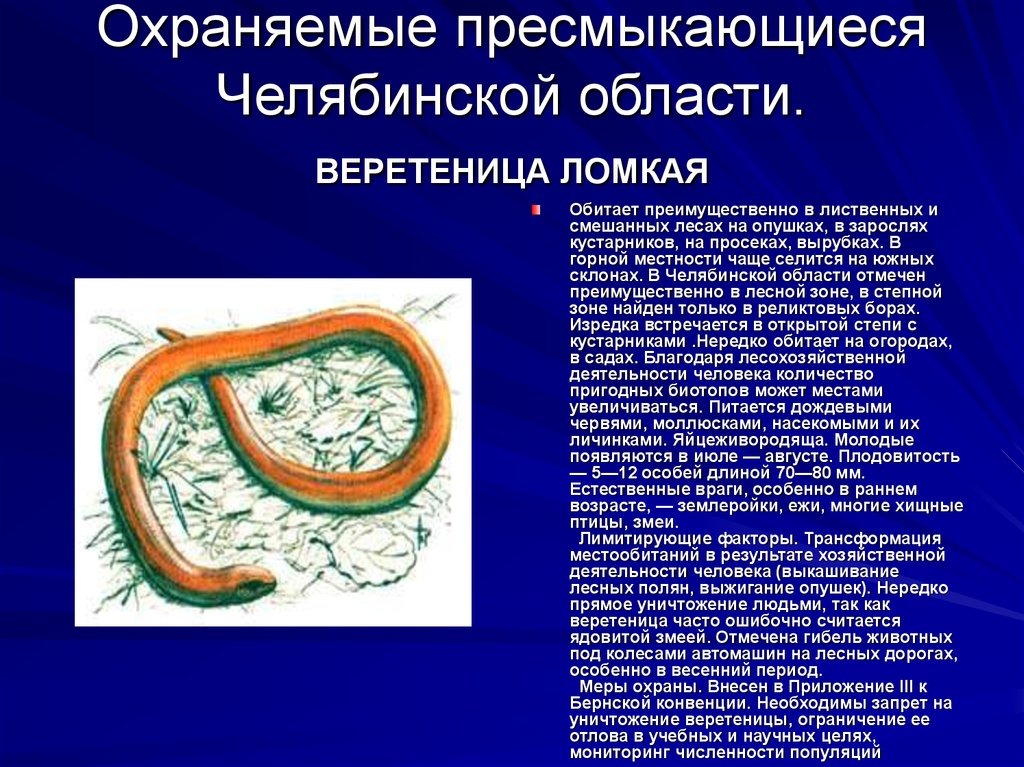 Презентация о древних пресмыкающихся 7 класс