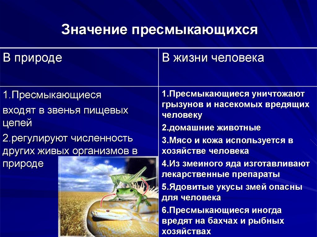 Конспект Знакомство С Земноводными Пресмыкающимися Крыма
