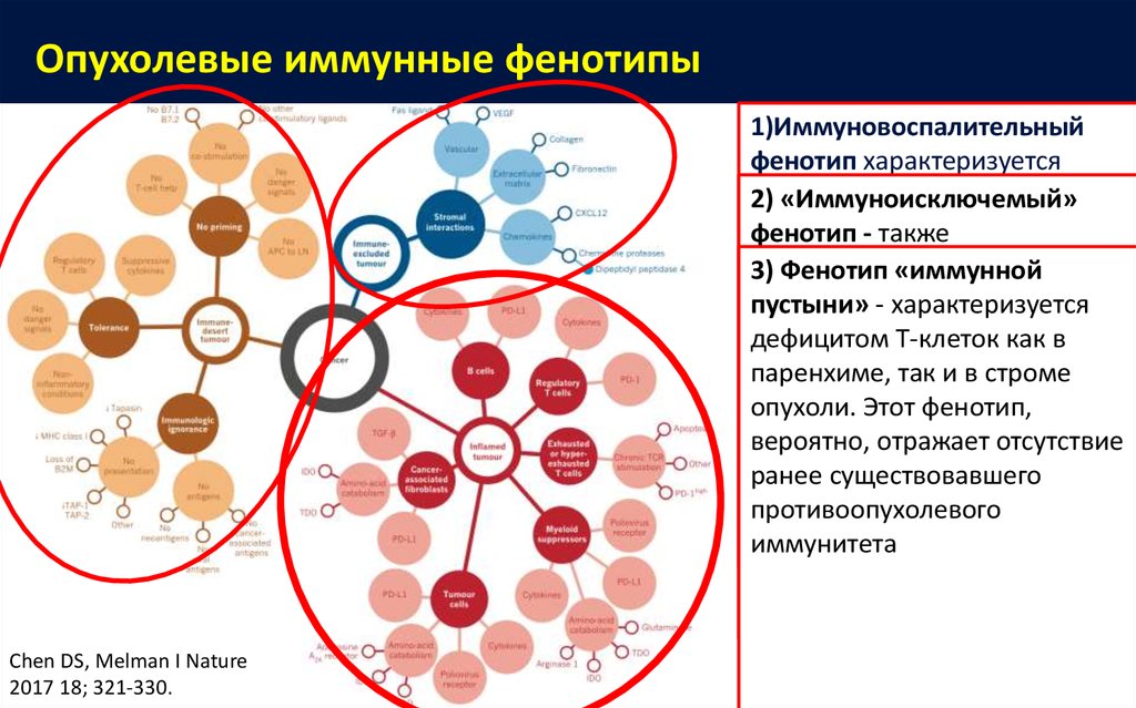 Виды опухолевого роста схема