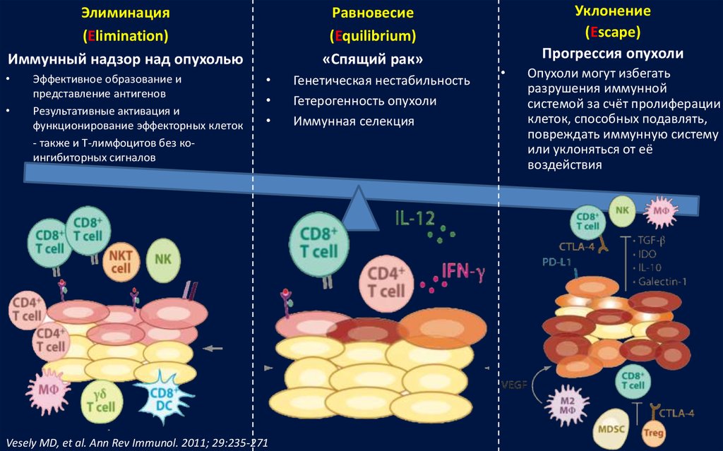 Элиминация что это в медицине. Иммунология опухолевого роста. Элиминация антигена. Геномная нестабильность опухоли. Иммунный надзор опухоли.