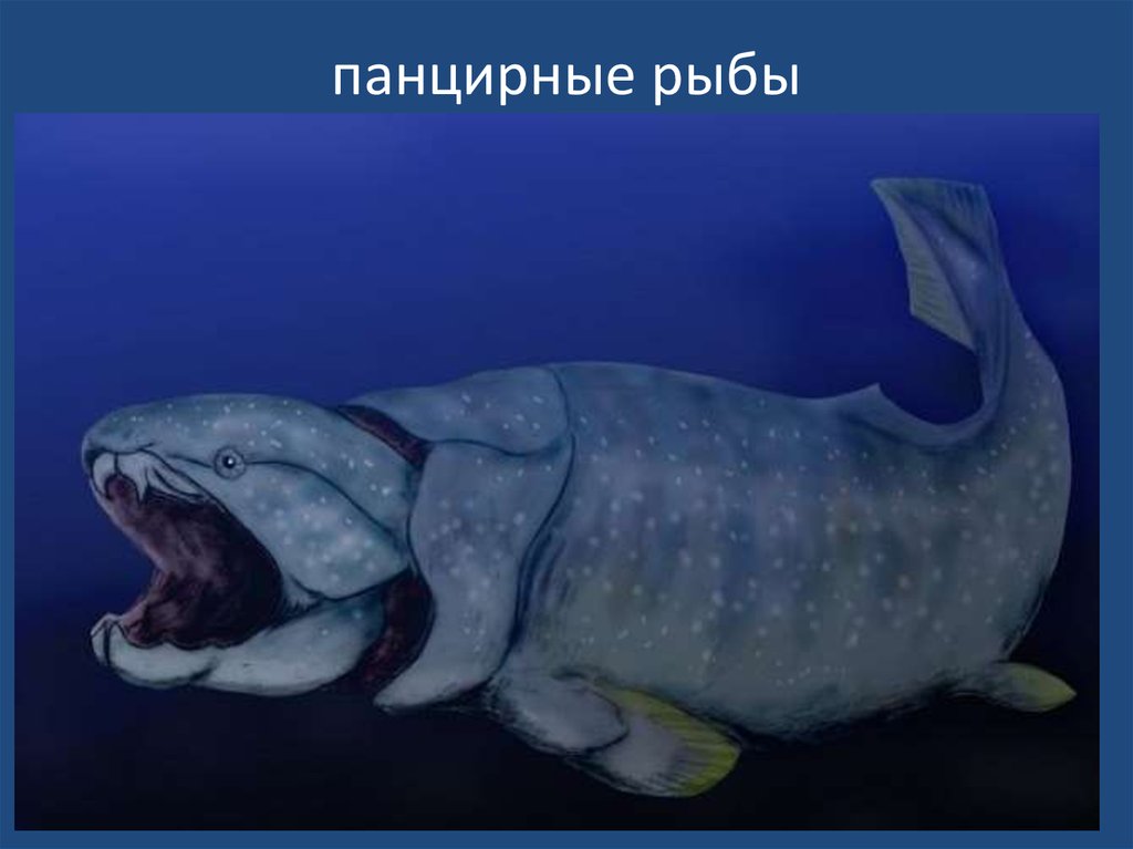 панцирные рыбы